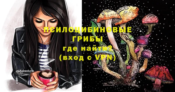 соль ск Балахна